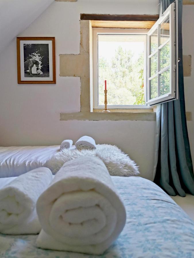 Quatre Chats Sous Un Pin Le Thoureil Εξωτερικό φωτογραφία